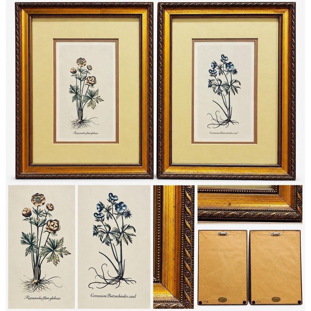 Vintage Robert Grace Botanical Prints Pair Ornate Gold Frames 13" x 10" Wall Art